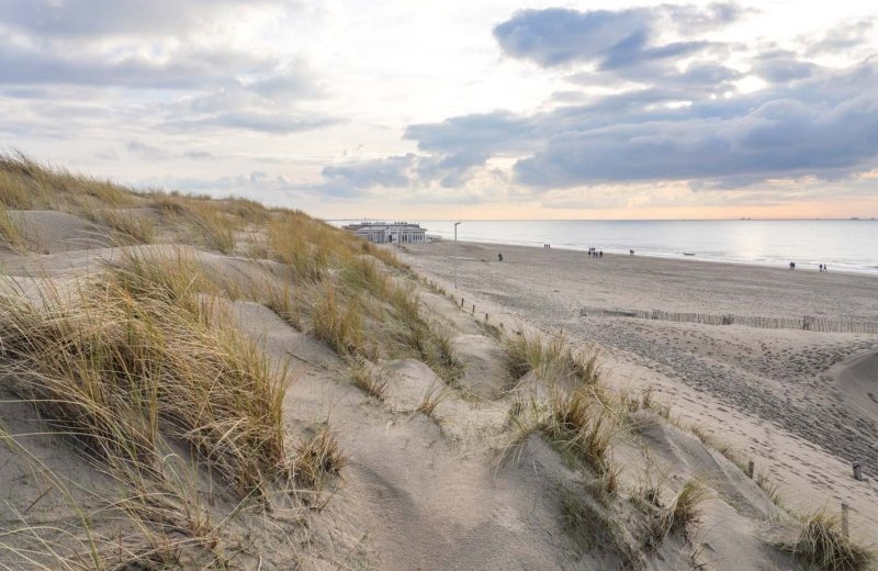  dirk van egmond strand noordwijk1