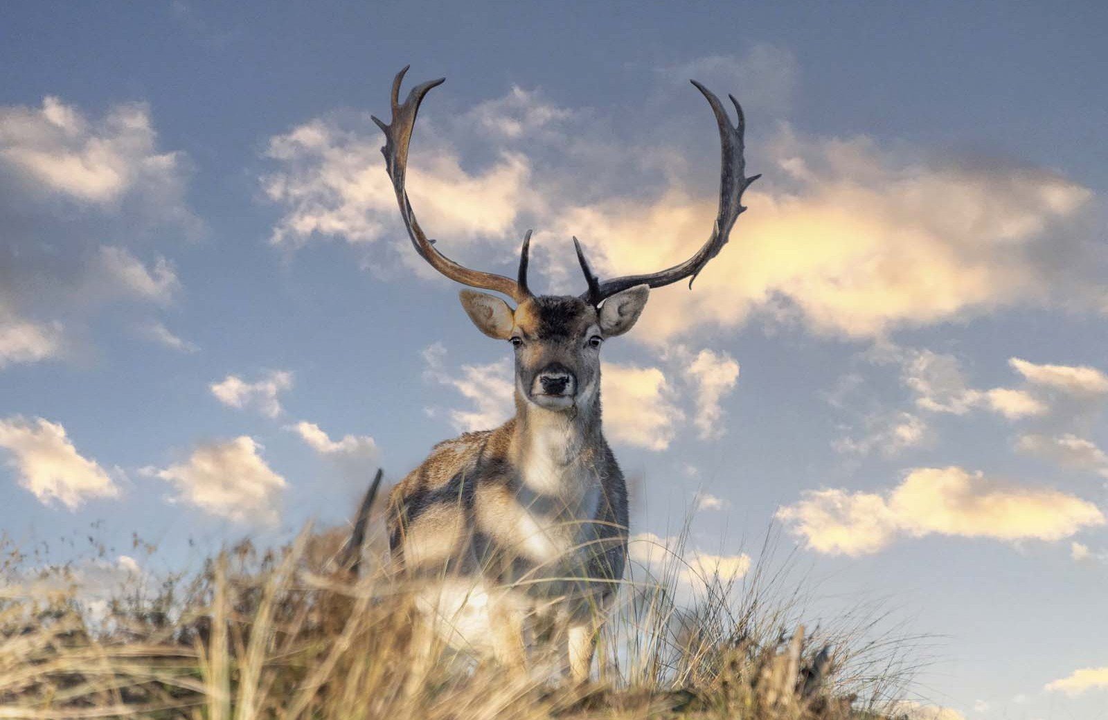 The magic of<br/><span class="ivy-mode-font"> nature...</span>