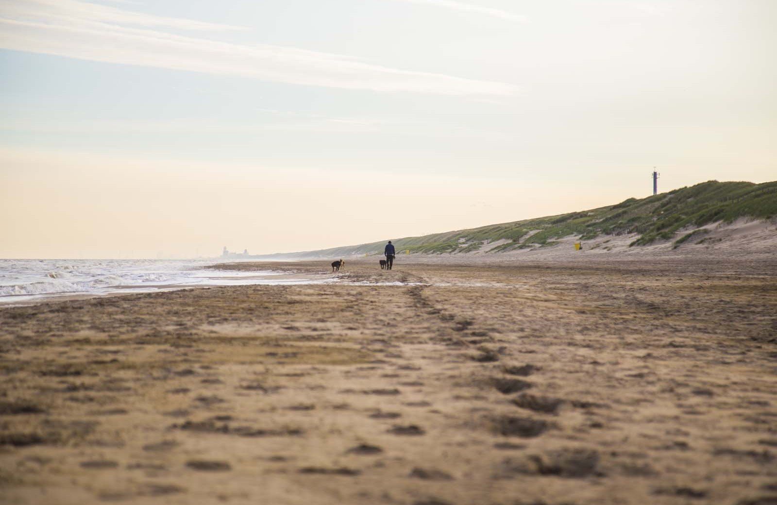 The magic of<br/><span class="ivy-mode-font"> the beach...</span>